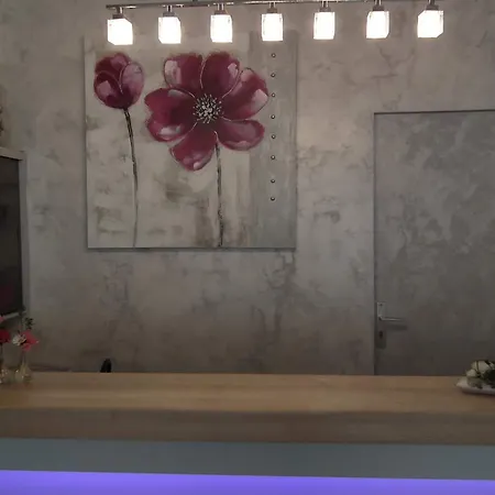 Des Pays Bas 3* Lourdes