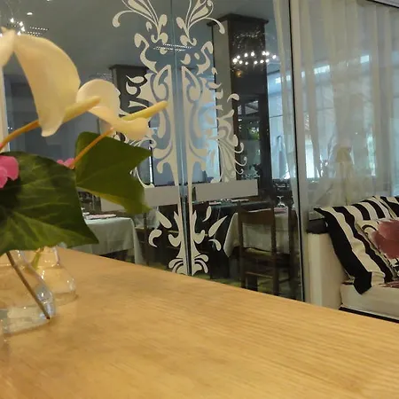 Des Pays Bas 3* Lourdes