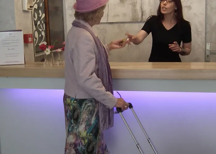 Hotel Des Pays Bas Lourdes